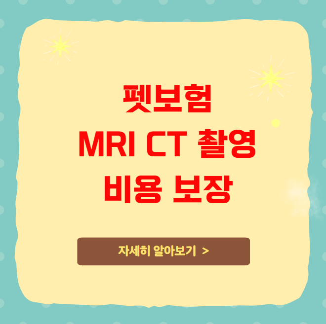 펫보험 MRI CT 촬영 비용 보장