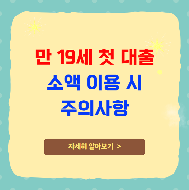만 19세 첫 대출 소액 이용 시 주의사항 만 19세 첫 대출 소액 이용 시 주의사항