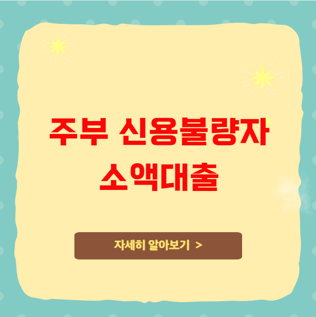 주부 신용불량자 소액대출 정리 주부 신용불량자 소액대출 정리